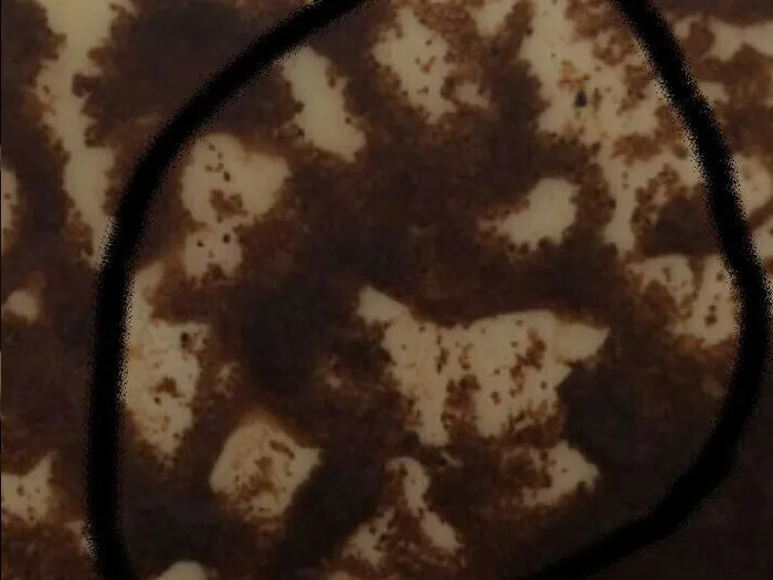 Запись на прием к гадалке в Ейске